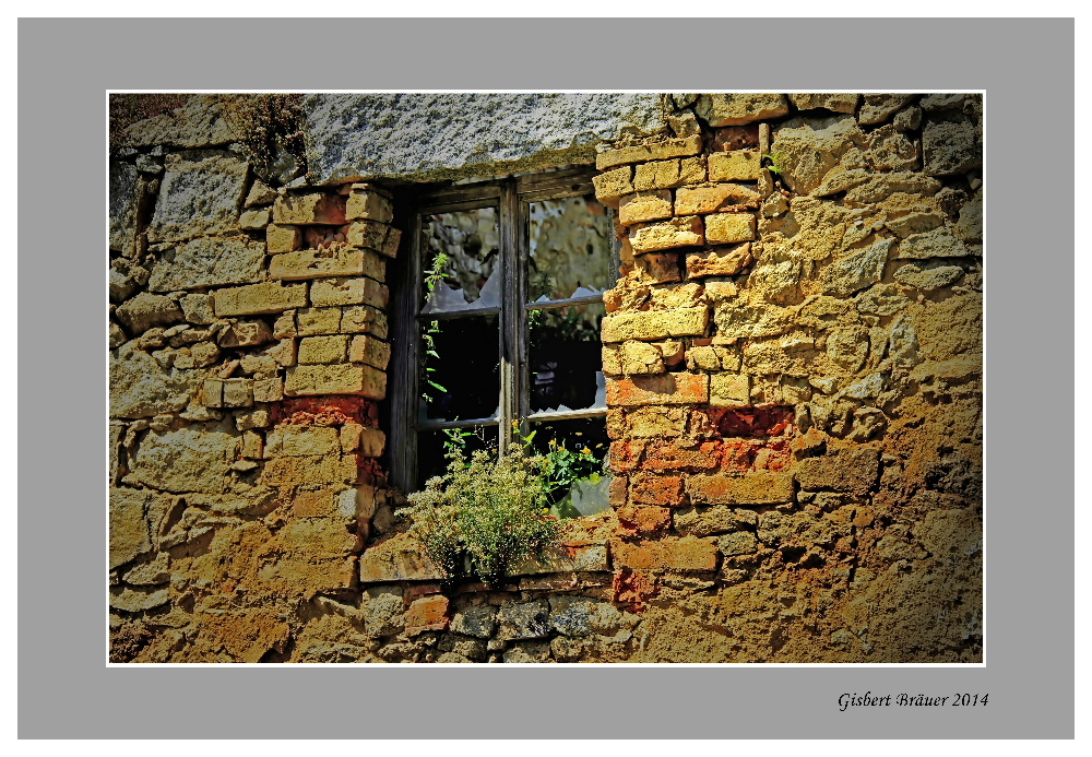 Das vergessene Fenster