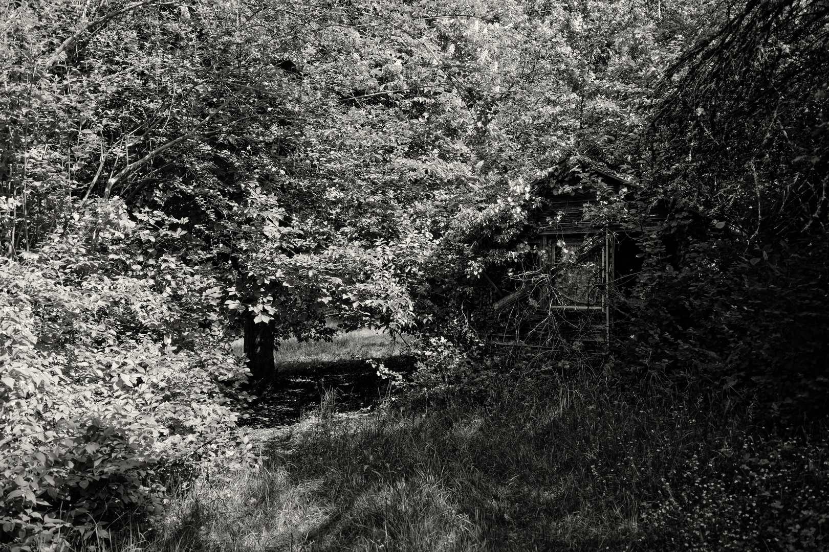 Das vergessene Gartenhaus