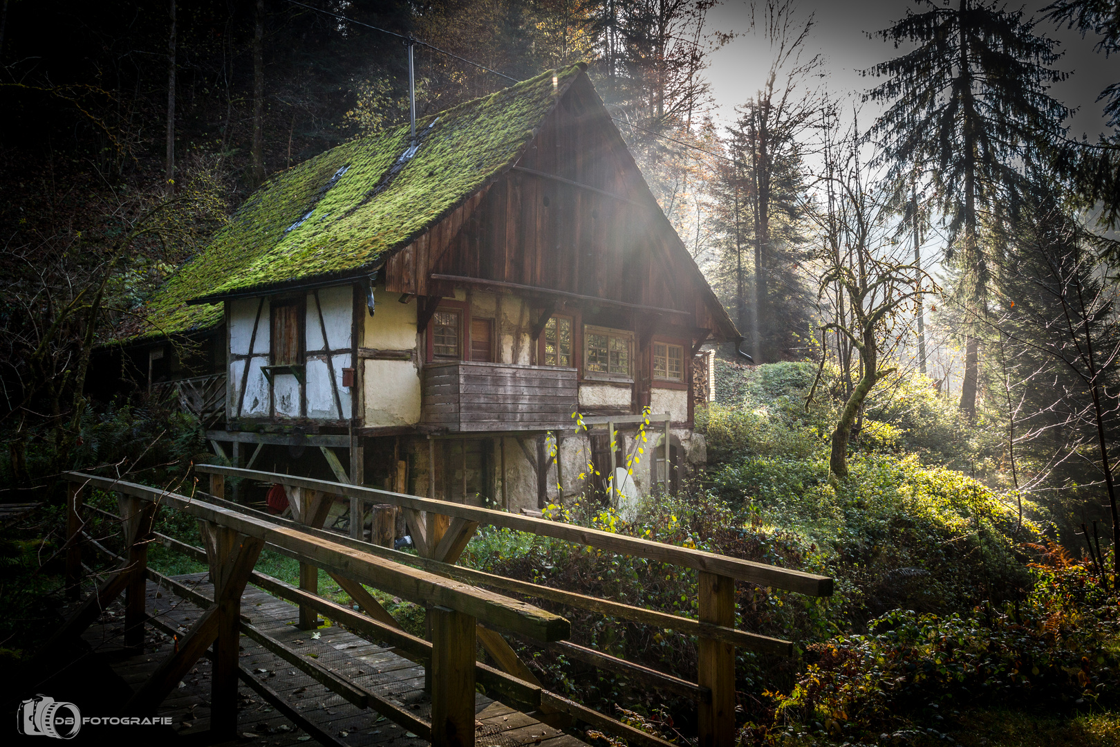 Das vergessene Hexenhäusle im Schwarzwald