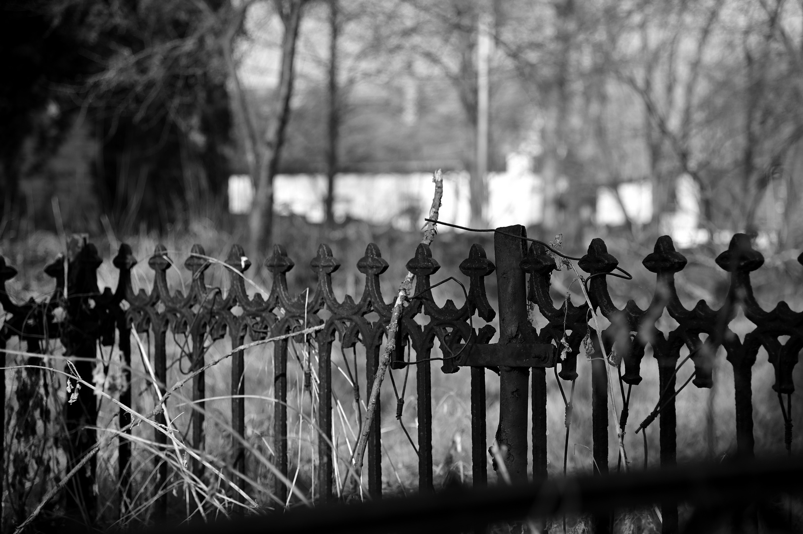 Das vergessene Mausoleum (5)