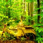 Das vergessene Postmoped im Wald