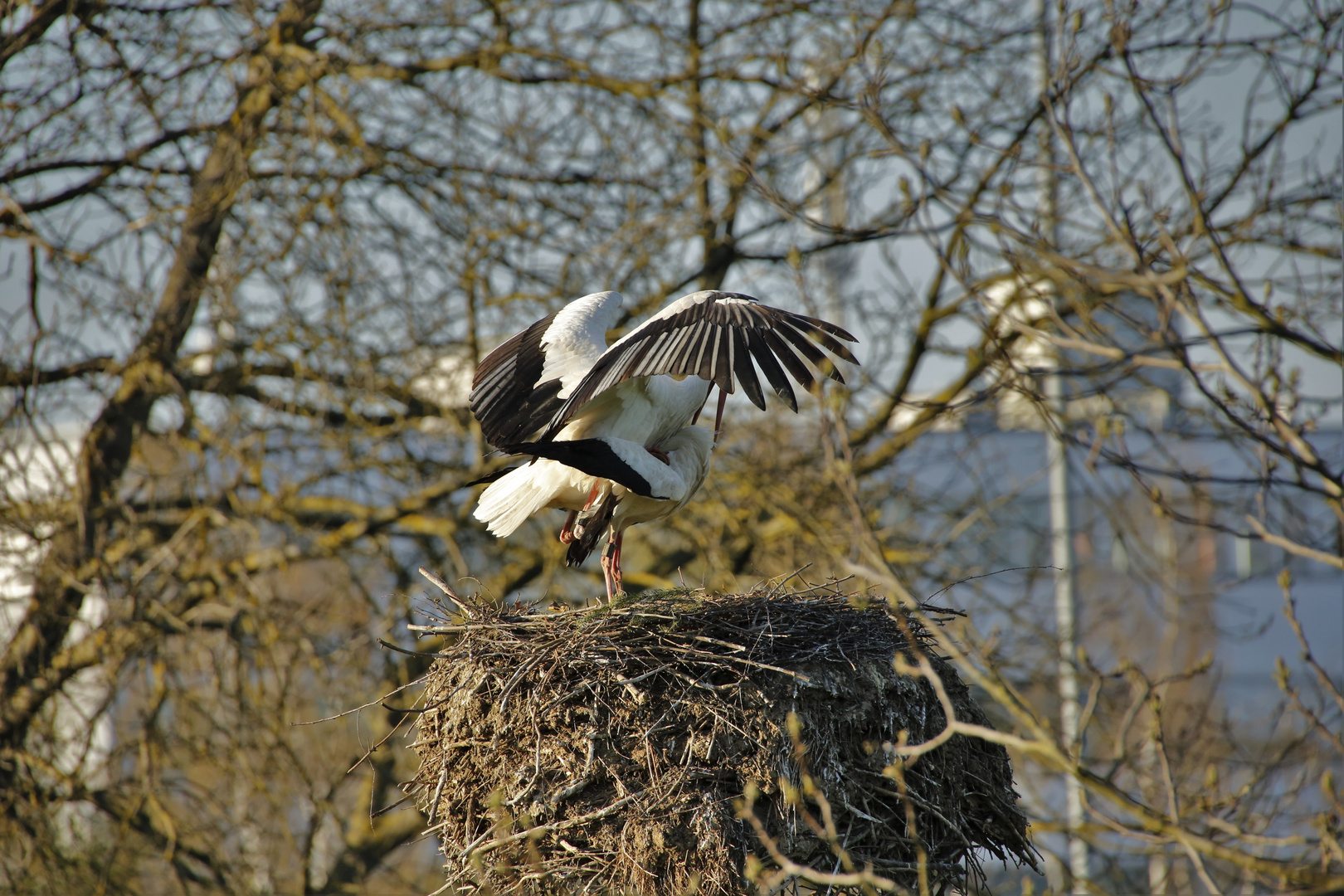 Das Vergnügen