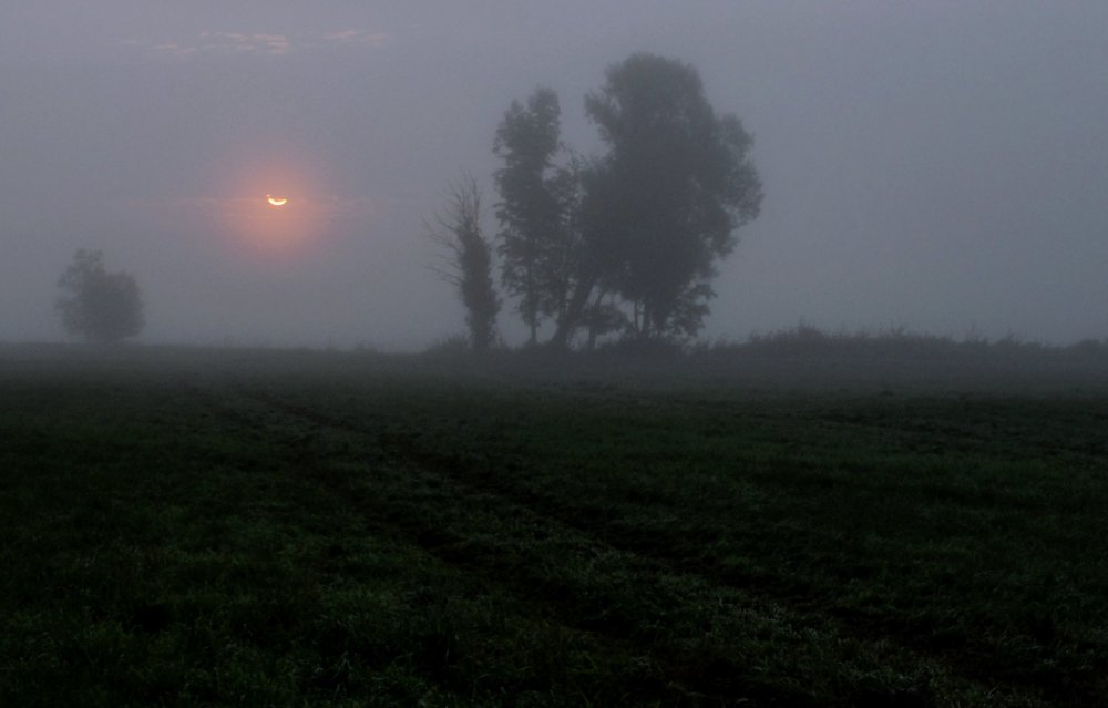 Das verhaltende Lächeln der Sonne