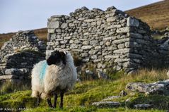 Das verlassene Dorf, Achill