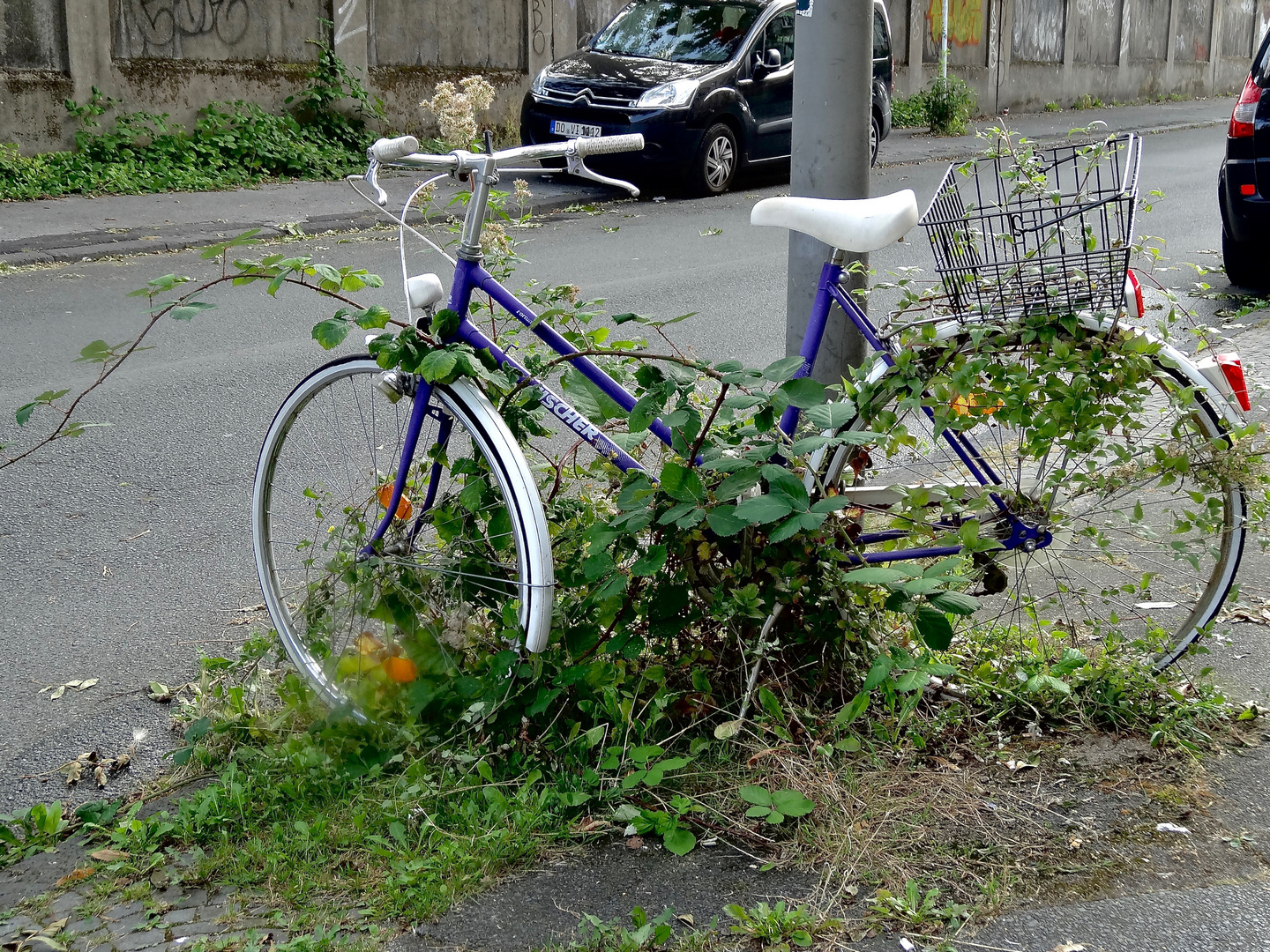 Das verlassene Fahrrad...