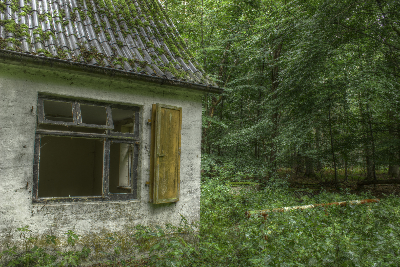 das verlassene Haus im Wald