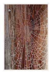 Das verlassene Kunstwerk