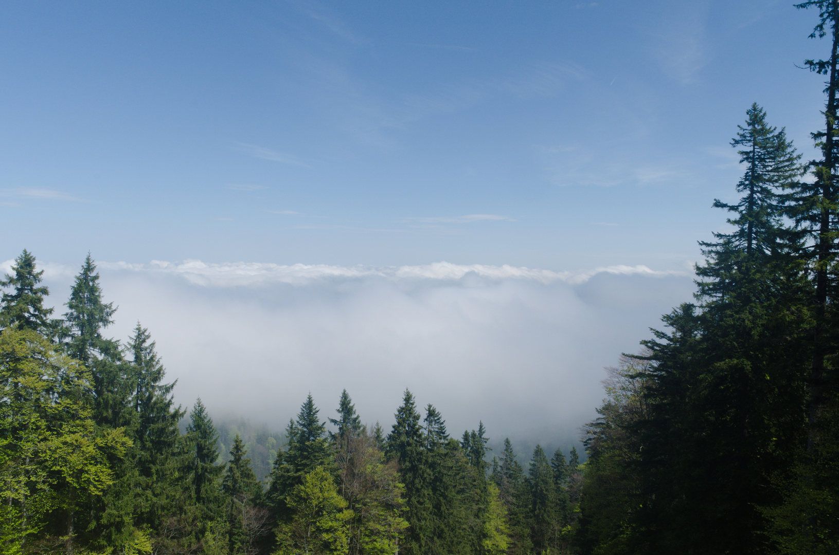 Das verschlingende Meer der Wolken