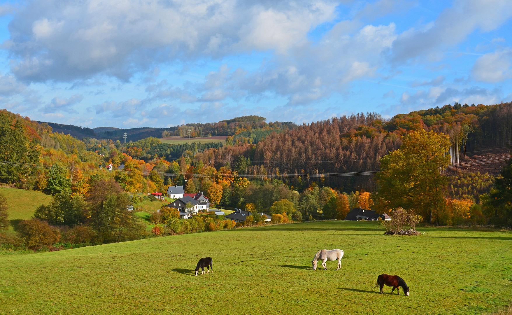 Das Versetal im Herbst