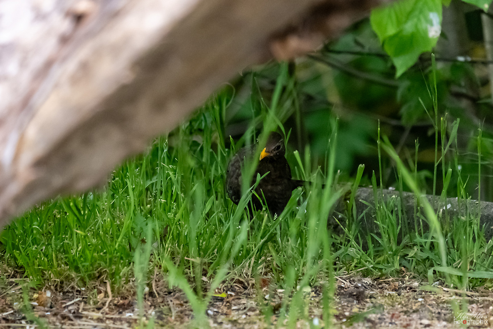 Das Versteck