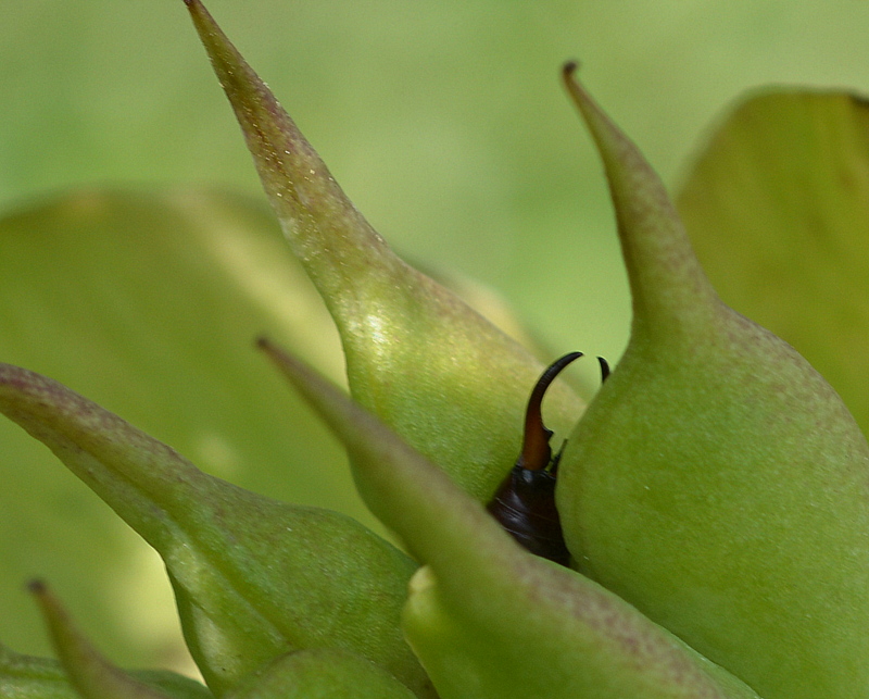 das versteck