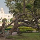 Das Victoria Memorial in Kolkata III