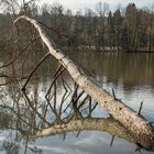 Das vielbeinige Ungeheuer von Loch Bear ...