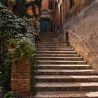 Das Viertel Trastevere in Rom