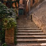 Das Viertel Trastevere in Rom