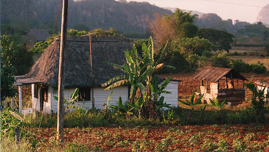 Das Vinales Tal in Cuba. Mi paradiso