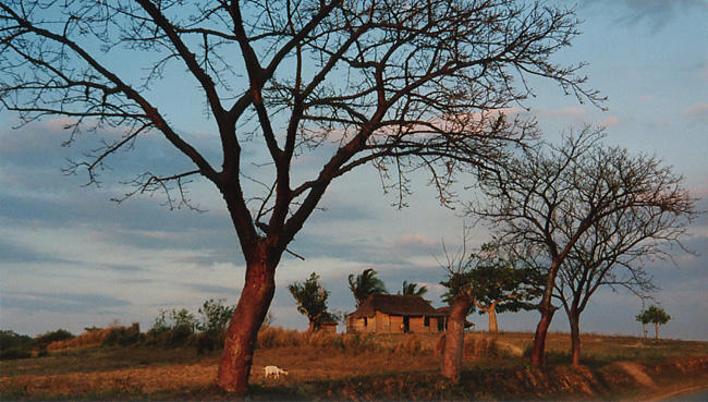 Das Vinales Tal in Cuba. Mi paradiso2