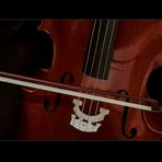 Das Violoncello