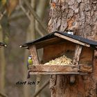 das Vogelhäuschen