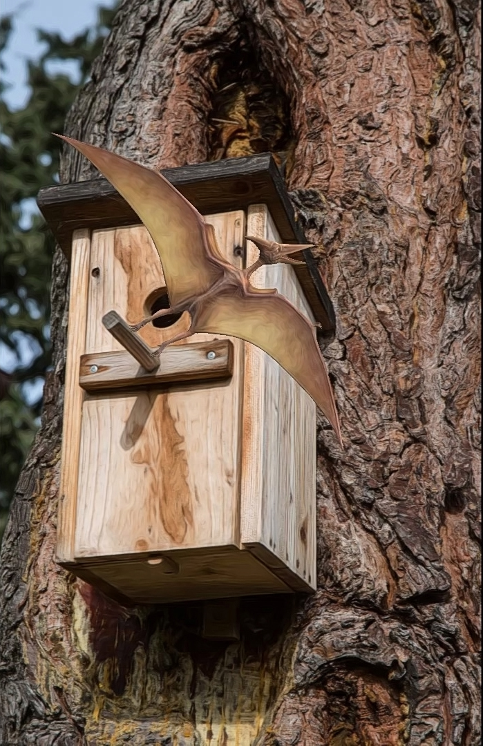 das Vogelhaeuschen...