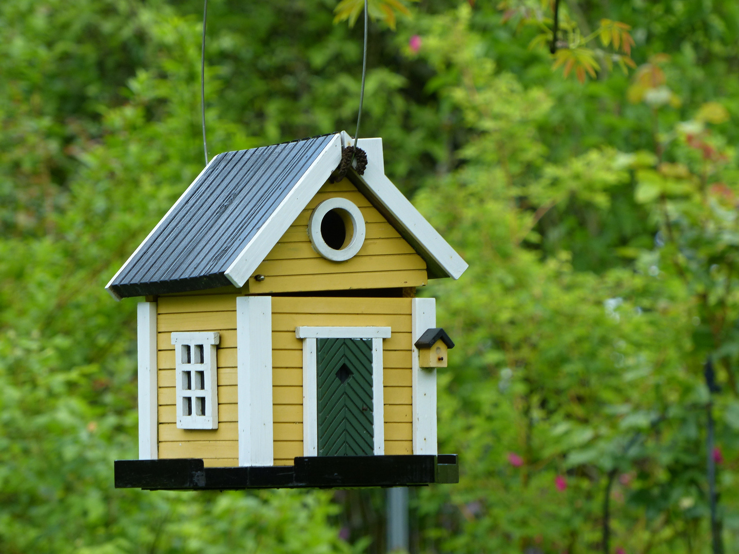 das Vogelhaus mit Vogelhäuschen