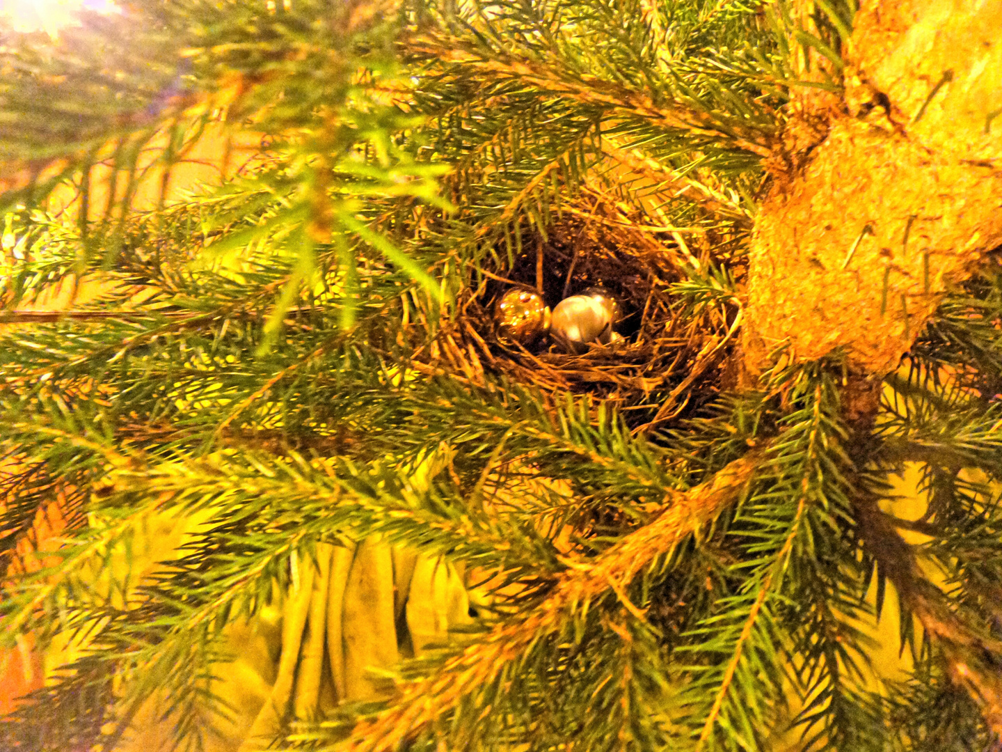 Das Vogelnest im Weihnachtsbaum