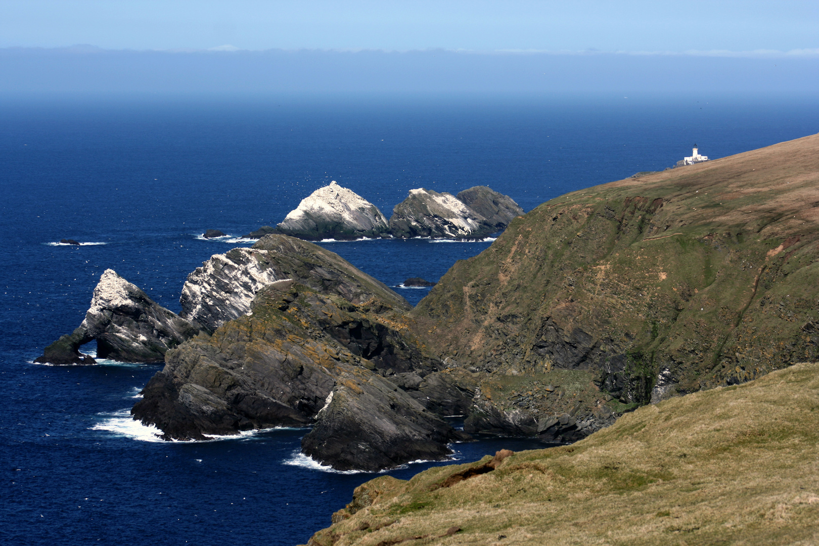 Das Vogelparadies Muckle Flugga auf den Shetlands