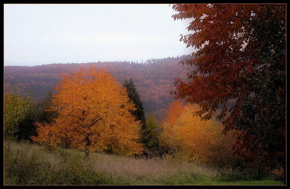 Das vorerst letzte Herbstbild ...