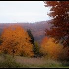 Das vorerst letzte Herbstbild ...