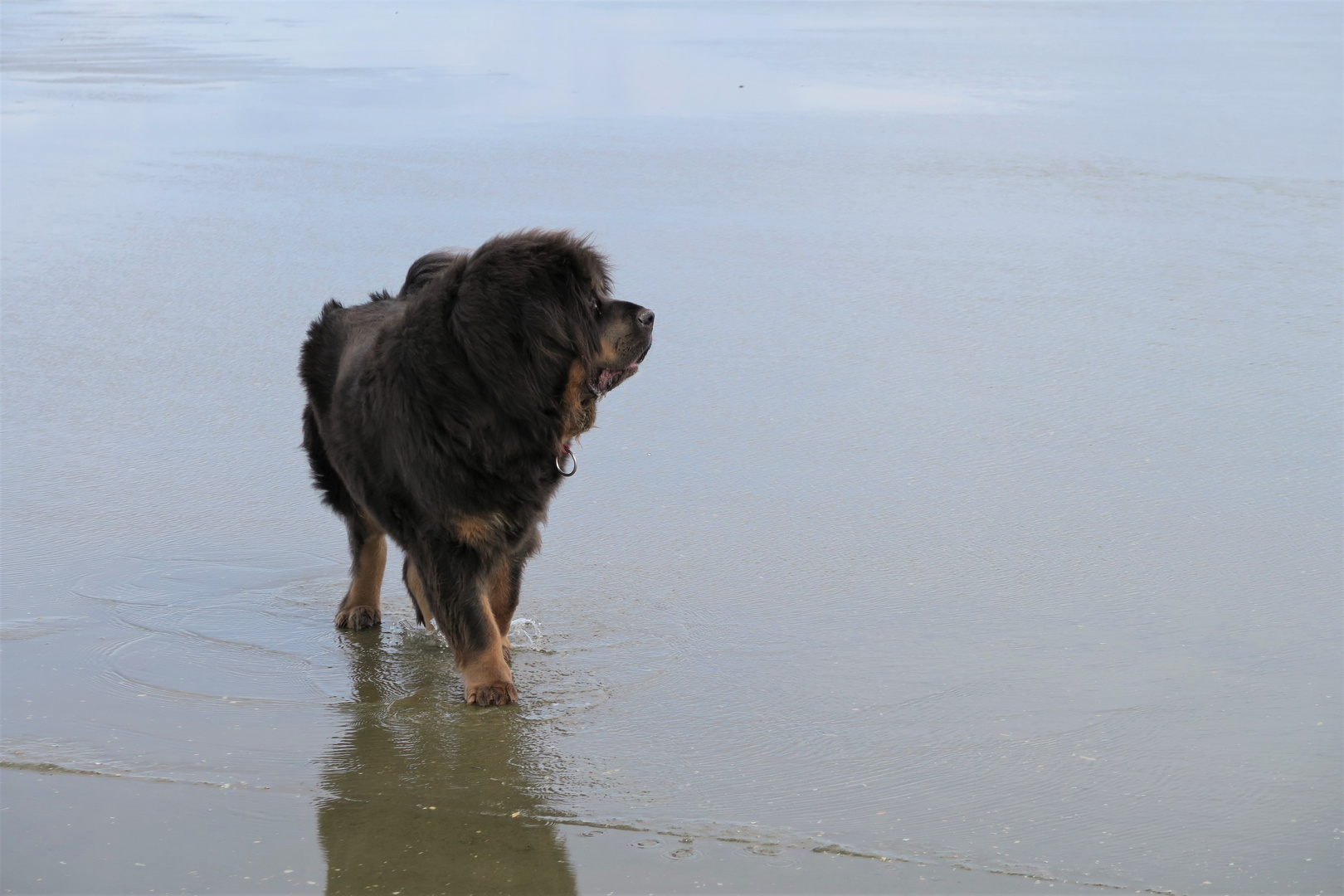 Das wäre das Meer...