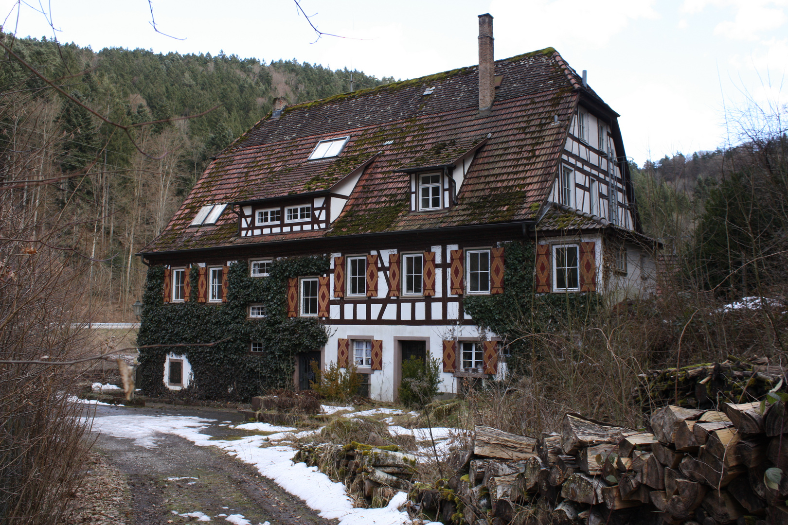 Das wäre ein Eventhaus 20000m² Grund