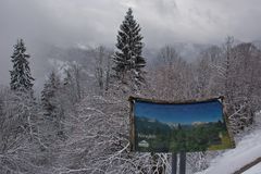 Das wäre ihre Ausblick gewesen...