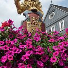 Das Wahrzeichen von Hachenburg auf dem Alten Markt