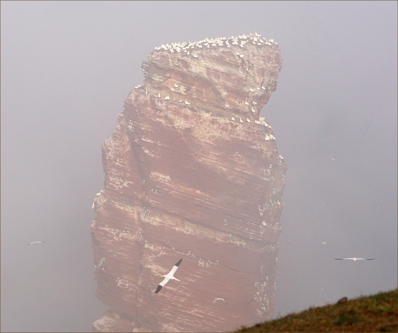 Das Wahrzeichen von Helgoland