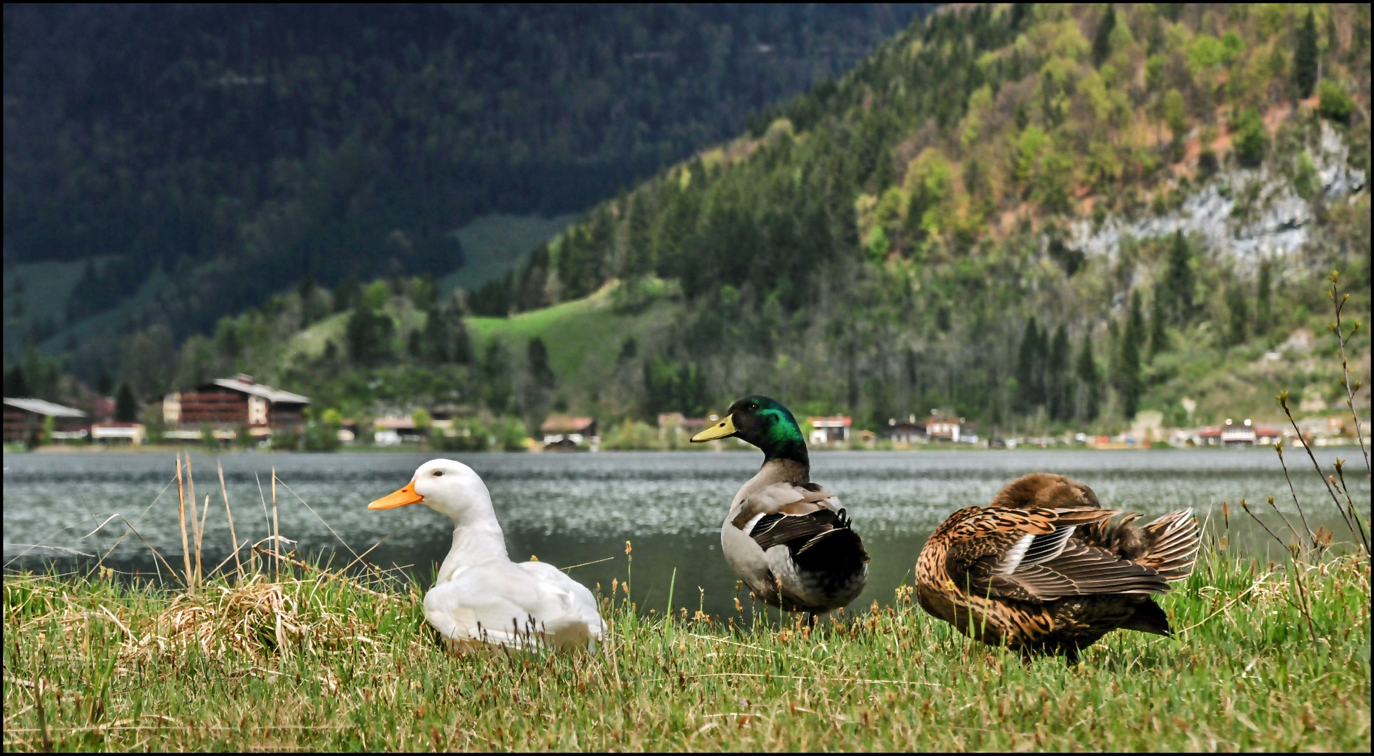 Das Walchsee-Trio ;-)