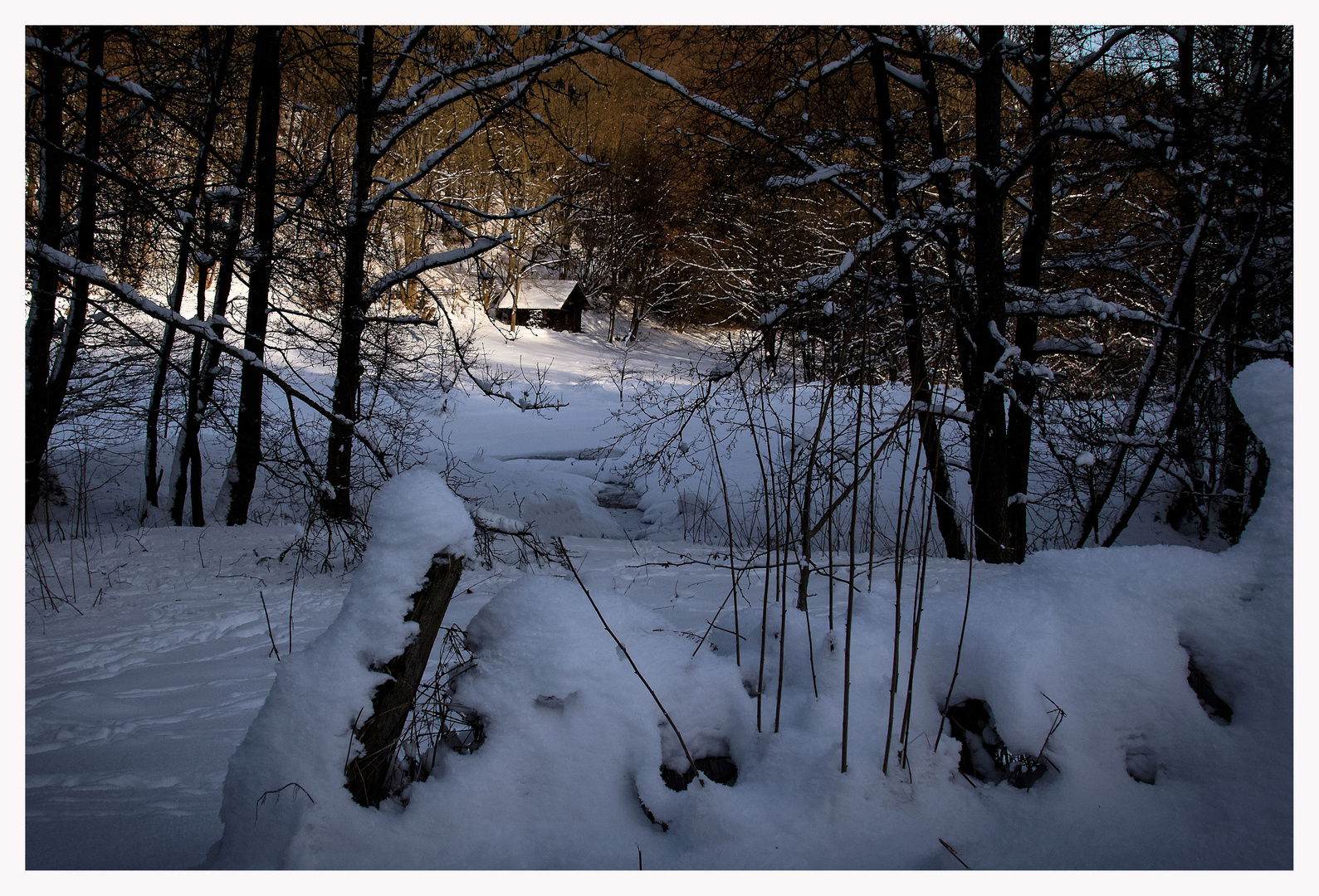 Das Waldhaus im Schnee