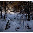 Das Waldhaus im Schnee