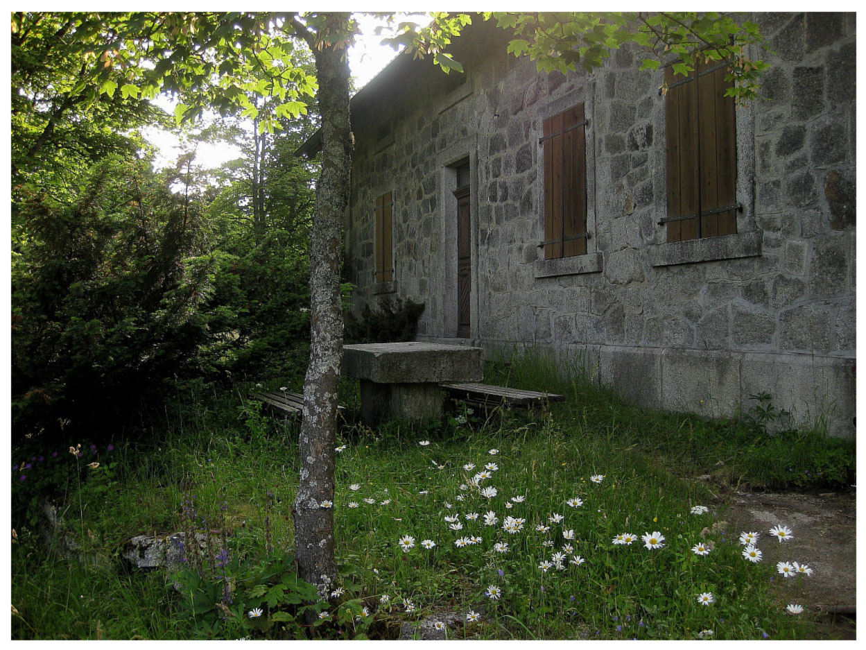 Das Waldhaus im Steinwald