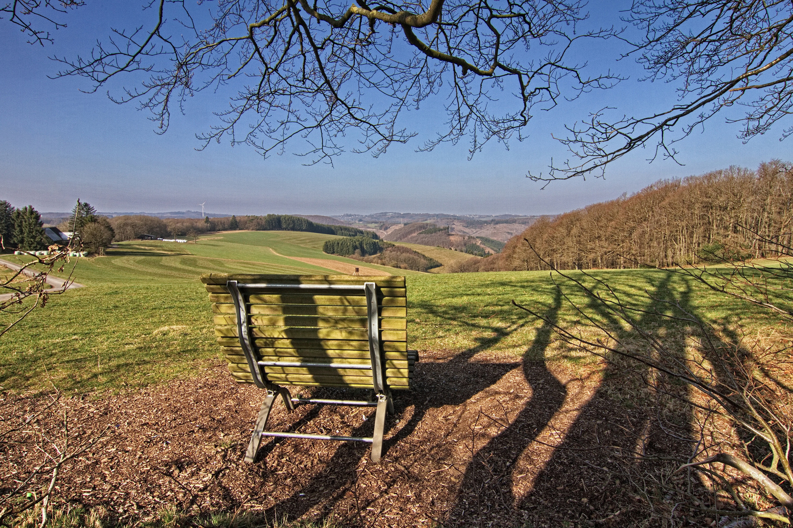 Das Waldsofa bei Marlin 