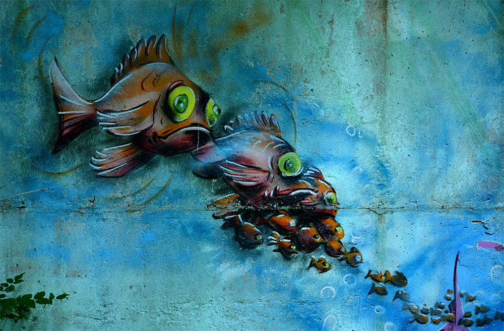 Das Wand-Aquarium (Graffiti #11)
