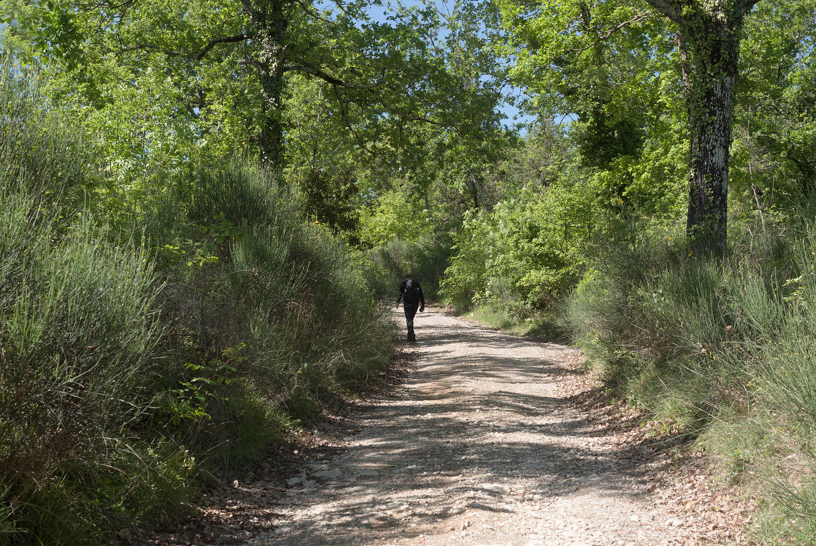 Das Wandern....