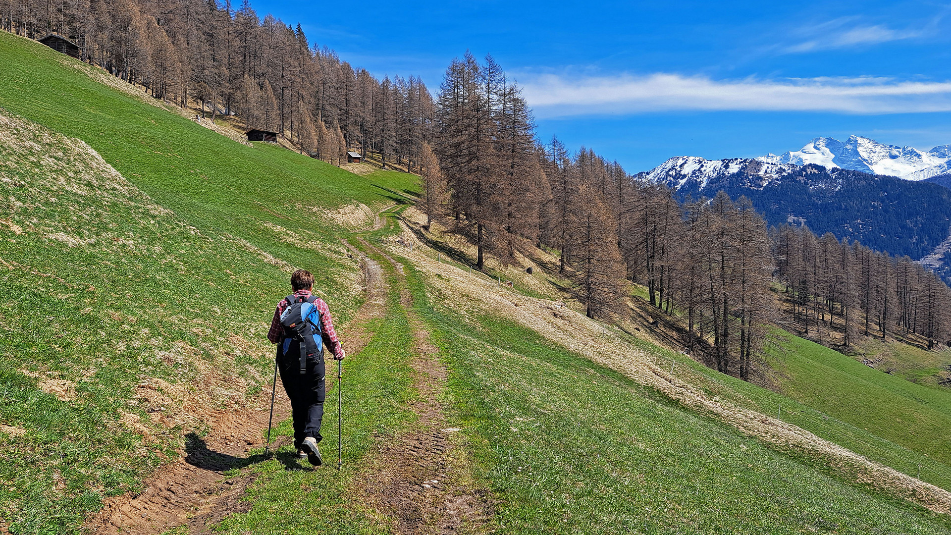 "Das Wandern ist ....