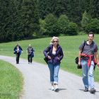 das Wandern ist der ..............