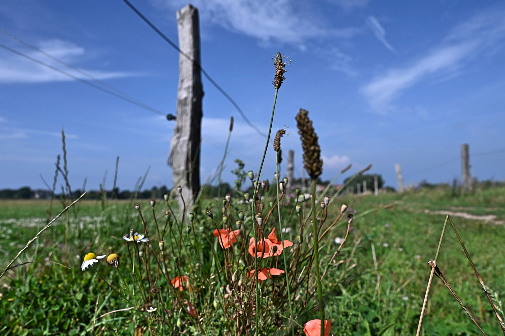 .... das Wandern ist des "Fotografen Lust"  ...*;-)