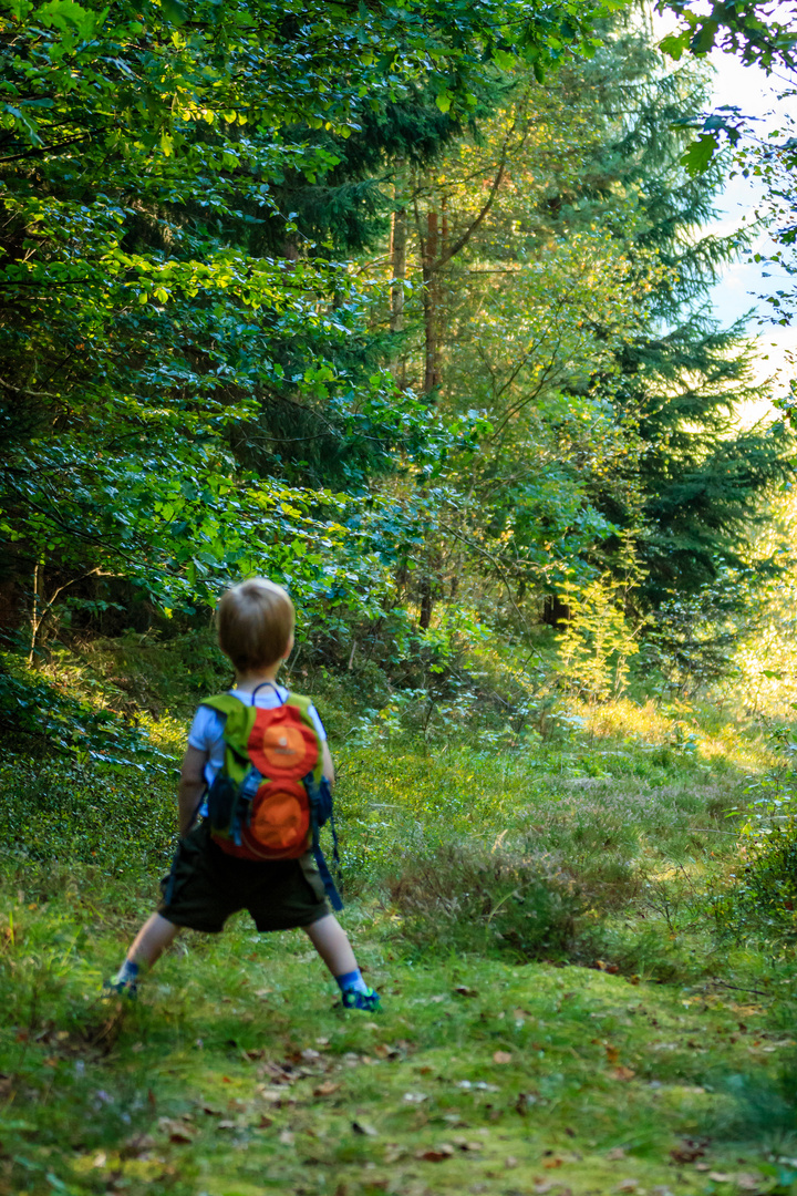 Das Wandern ist des Knaben Lust