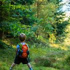 Das Wandern ist des Knaben Lust