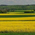 Das Wandern ist des Müllers Lust .....