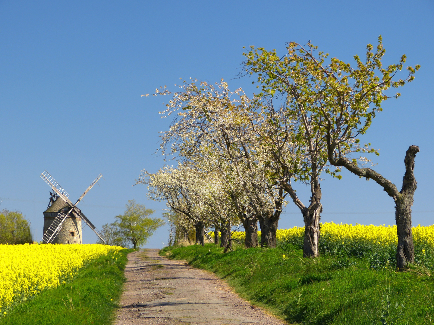 Das Wandern ist des Müllers Lust