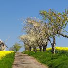 Das Wandern ist des Müllers Lust