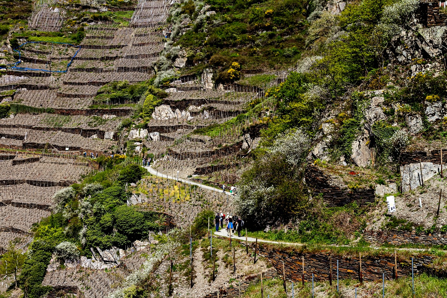 Das Wandern ist des Müllers Lust